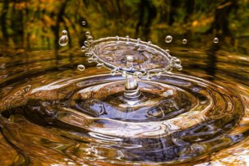 Gestión adecuada del agua – Fundación Yammine
