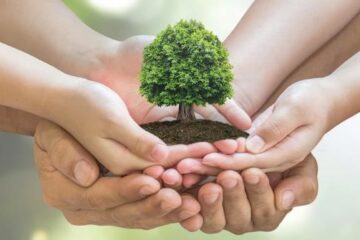 La reforestación como parte de la Responsabilidad Social Empresarial – Fundación Yammine