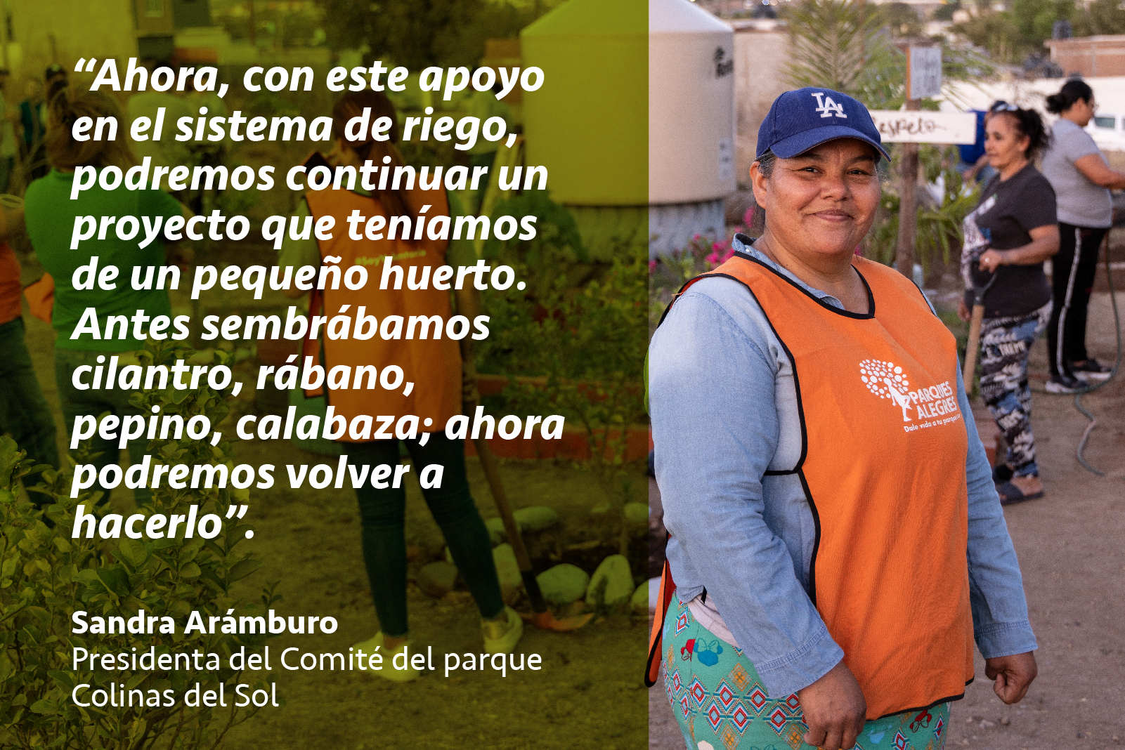 voluntariado corporativo parque colinas