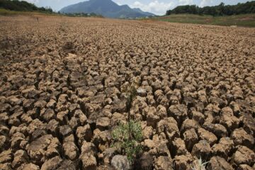 Fundación Yammine - ¡Entérate! ¡Estas son las graves consecuencias de la sequía en Venezuela! - FOTO