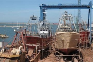 Gestión de riesgos en proyectos de la industria naval – Salar Ataie Bandari