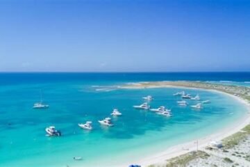 tadeo 300x168 - Tadeo Arosio: diferencia entre los Roques y la isla la tortuga