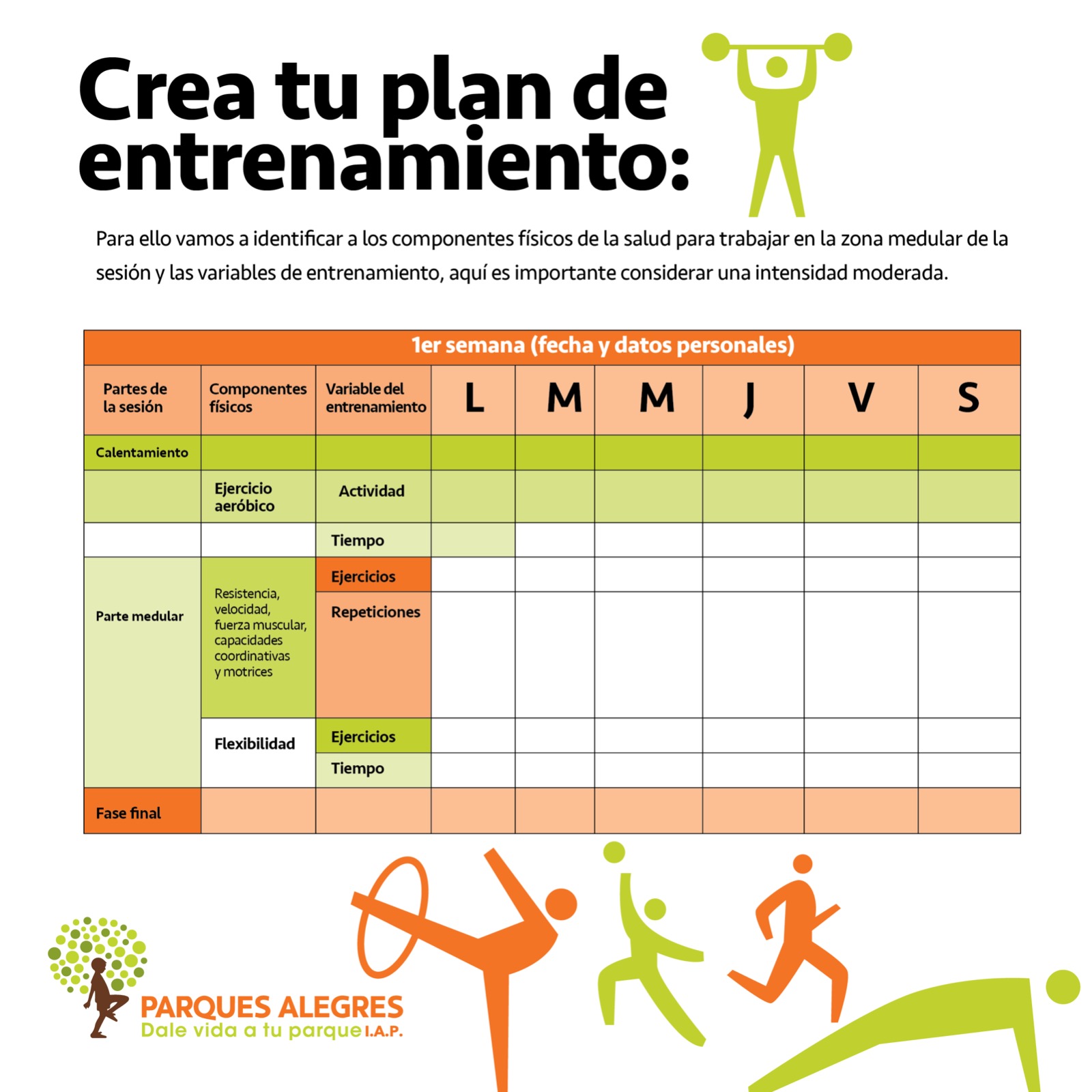 crea tu plan de entrenamiento
