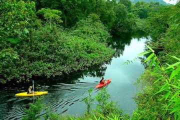 El ecoturismo y cómo se puede disfrutar de la naturaleza de manera responsable y sostenible