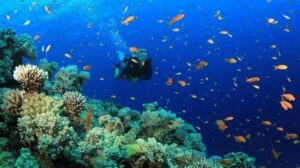 Imagen2 300x168 - Los mejores lugares para practicar deportes de aventura en Los Roques