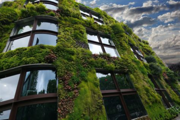 La sostenibilidad en la arquitectura moderna