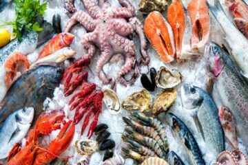 Francesco Lovaglio Tafuri - ¡Conócelos! ¡Top 10 ingredientes populares de la comida de mar! - FOTO