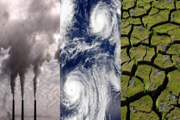 Ligia Carolina Gorriño Castellar - Cambio climático ¡La principal preocupación de las aseguradoras! - FOTO
