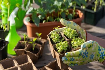 Fundación Yammine - Jardín Ecológico ¡La manera ideal de minimizar el impacto ambiental! - FOTO