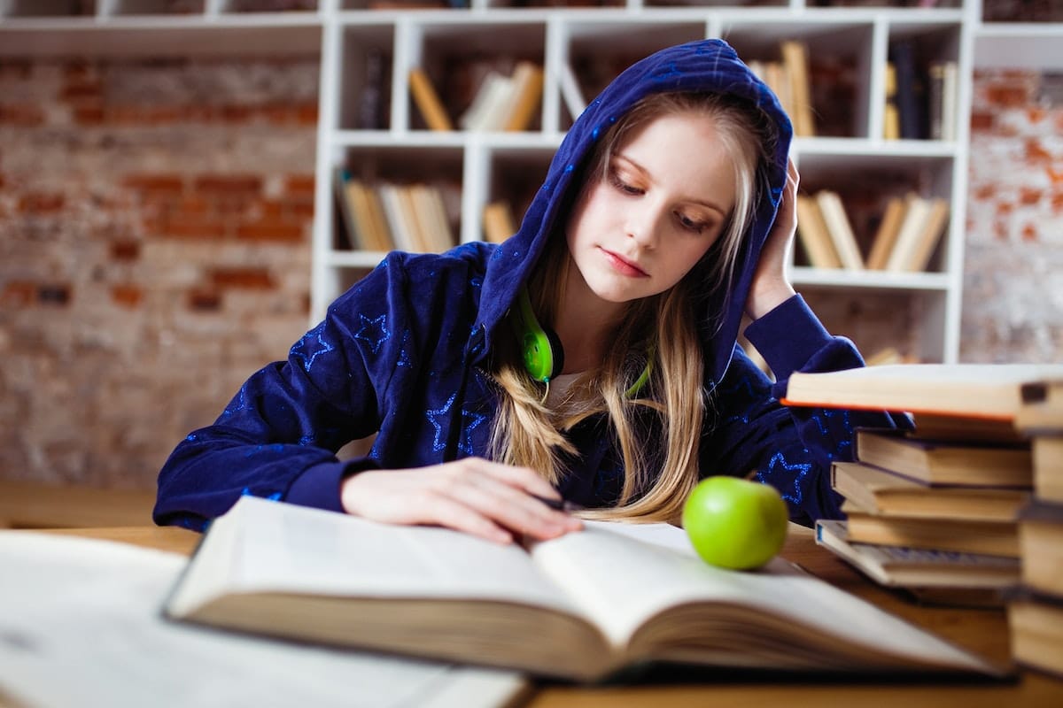 Nivel de estudios en España: ¿Cuál es el más alto?