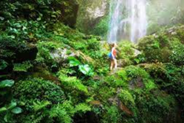 Top 10 de actividades ecoturísticas para realizar en tu próximo viaje