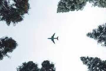 Consideraciones importantes para este último viaje