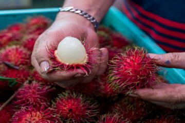 Francesco Lovaglio Tafuri - ¡Conócelas! Y las 10 frutas más exóticas del mundo son - FOTO