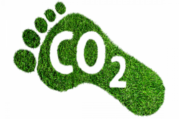 Fundación Yammine - ¡Entérate! ¡Importancia de conocer la huella de carbono! - FOTO