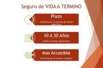 Tipos de Pólizas de Seguros de Vida: ¿Cuál es la Mejor para Ti? - Hjalmar Gibelli