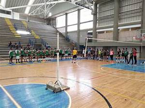 Qué Capacidades Determinan el Talento Deportivo: Un Análisis Profundo image 2 - Qué Capacidades Determinan el Talento Deportivo: Un Análisis Profundo