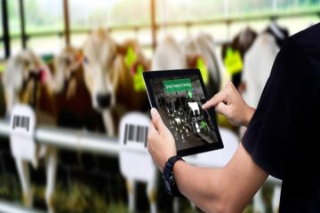 Juan Fernando Serrano Ponce - ¡Entérate! Ganadería inteligente; Qué es y cuáles tecnologías utiliza - FOTO