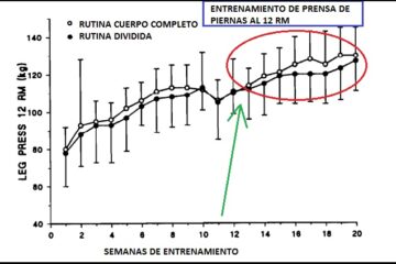 leg press - Sebastian Cano Caporales: 3 formas de organizar tu Entrenamiento de Fuerza – Corporal Kinesis