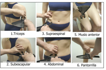 pliegues - Sebastian Cano Caporales: Pliegues subutaneos, una técnica de medición fiable y simple para valorar la grasa corporal – Corporal Kinesis