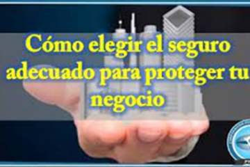 Tipos de seguros ofrecidos por las aseguradoras y cómo elegir el más adecuado para tu negocio - Hjalmar Gibelli
