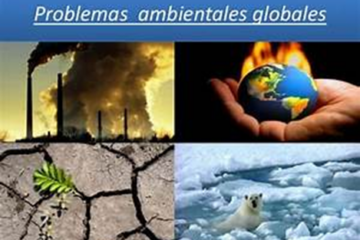Un llamado a la acción por la sostenibilidad