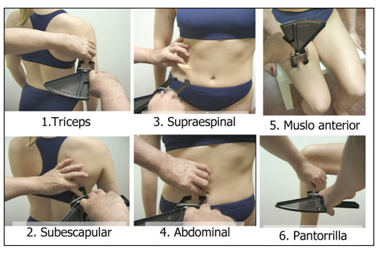 pliegues - Sebastian Cano Caporales: Pliegues subutaneos, una técnica de medición fiable y simple para valorar la grasa corporal – Corporal Kinesis