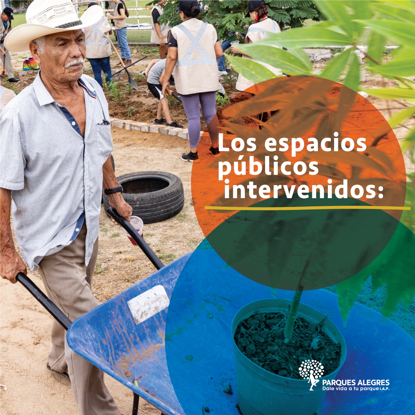 Colaboramos a través del agradecimiento