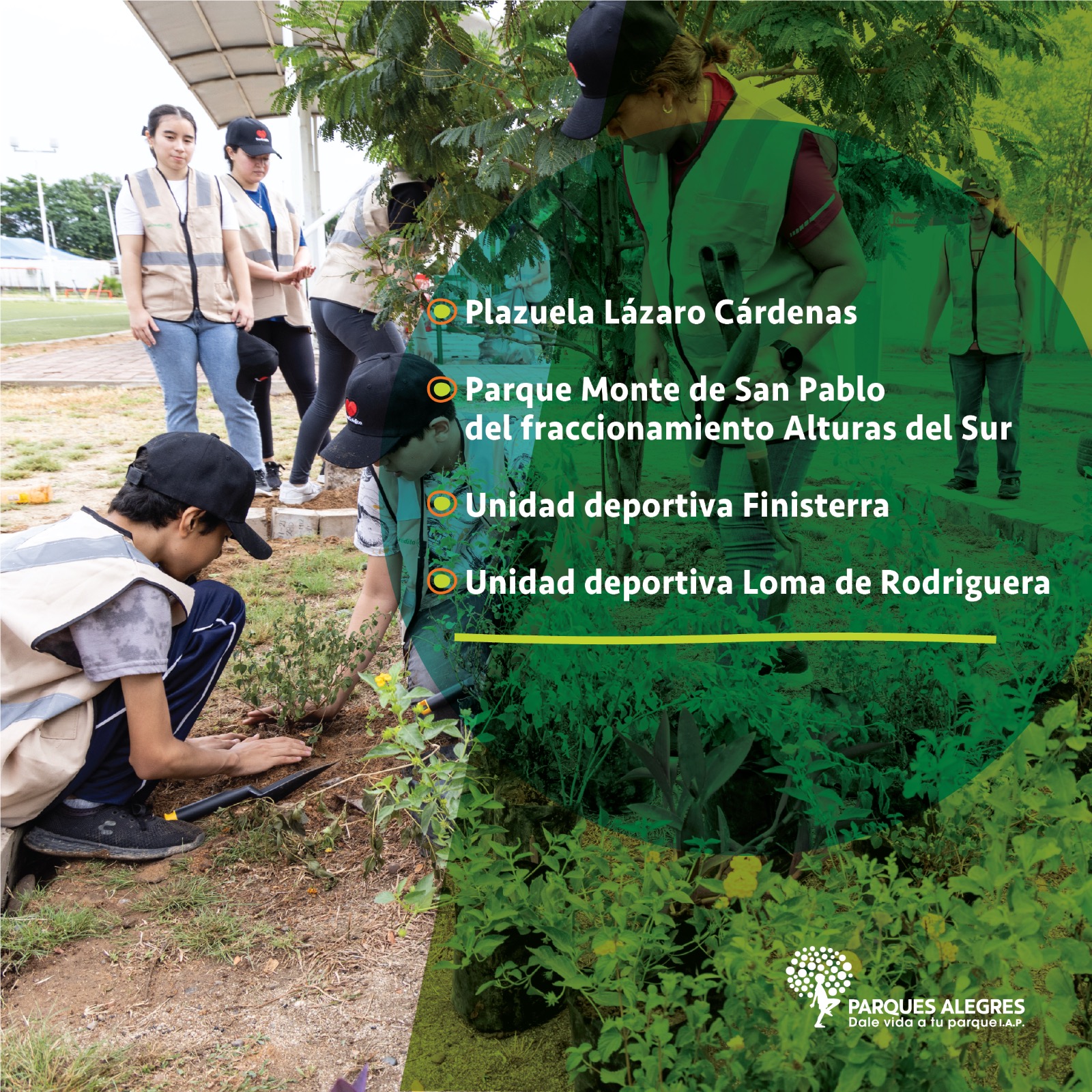 Colaboramos a través del agradecimiento