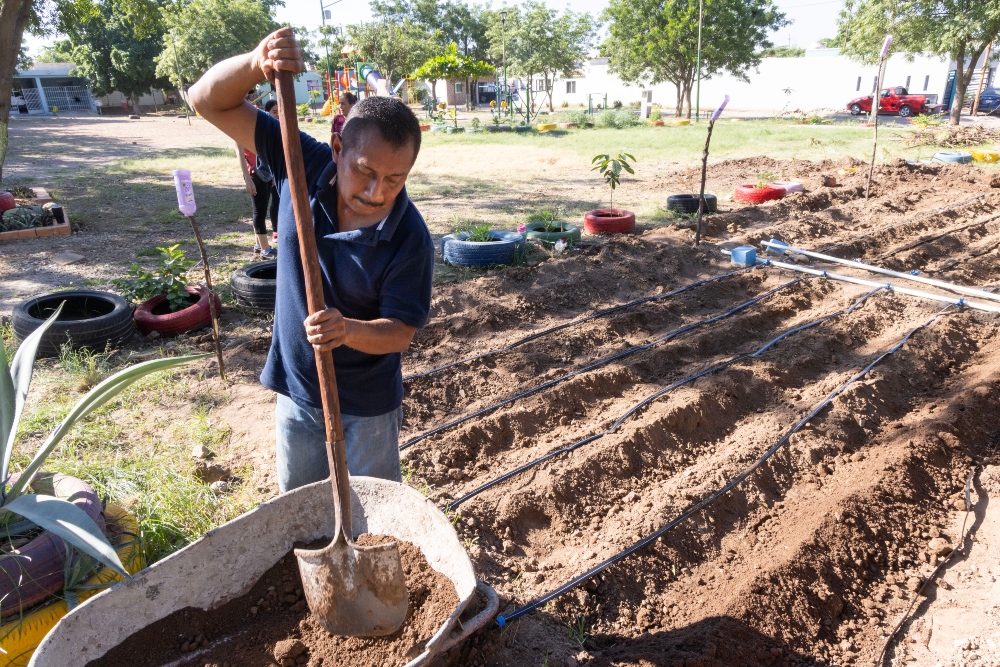 huertos autosostenibles en parques de Culiacán