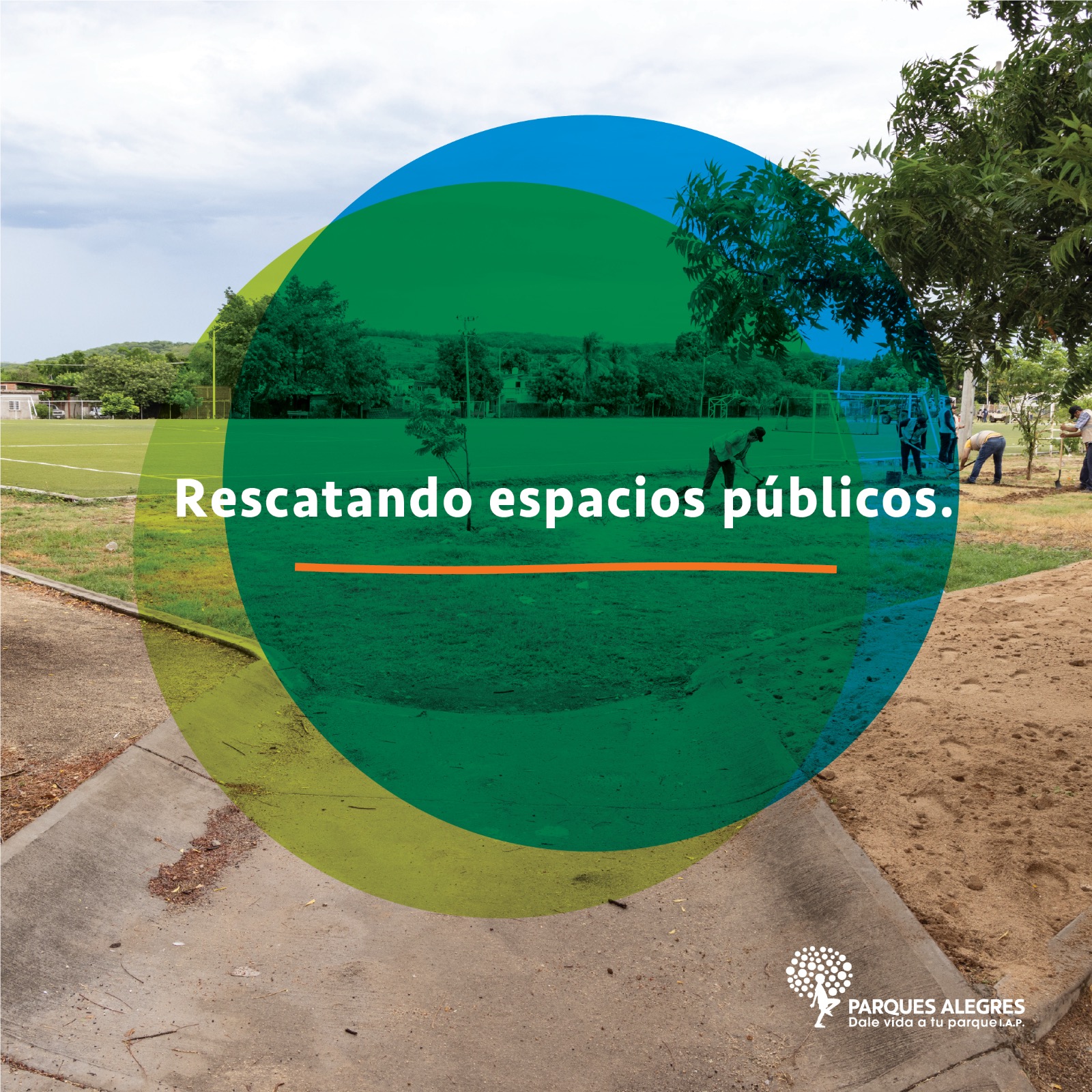 Colaboramos a través del agradecimiento