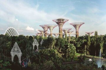 Francesco Lovaglio Tafuri - Sostenibilidad en la arquitectura ¡Principios y pilares en los que se basa! - FOTO