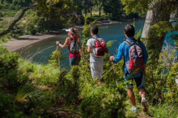 Actividades para Disfrutar en una Reserva Natural