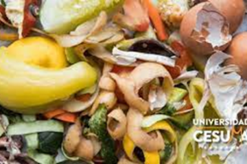 Cómo Reducir el Desperdicio de Alimentos y Contribuir a la Seguridad Alimentaria