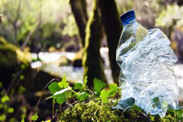 Treseus - ¡Entérate! Plásticos biodegradables; Qué son ¡Tipos y ventajas! - FOTO