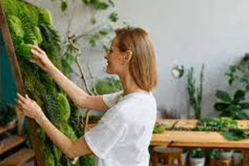 Cómo Transformar Espacios con Paisajismo: La Magia de la Naturaleza en tu Hogar