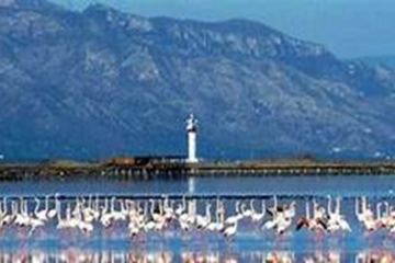 Parque Natural del Delta del Ebro: Sumérgete en la Sugestión de la Naturaleza