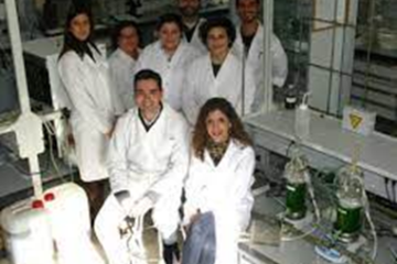 Investigación y Desarrollo: La Gallinaza Compostada como Abono Orgánico de Calidad