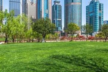 Rodear las Ciudades con Bosques: Una Solución Urbana para un Futuro Sostenible