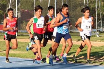 Modelos de Desarrollo Deportivo y Factores Condicionantes del Talento Deportivo: Claves para Potenciar el Éxito 