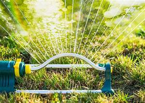 Cómo construir un jardín vertical casero paso a paso: Una solución verde para espacios reducidos