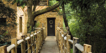 cabaña en un árbol