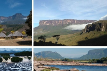 Descubriendo la exuberante vegetación del Parque Canaima 