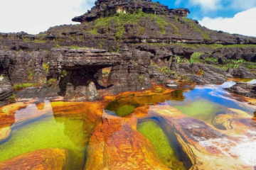 Hjalmar Jesús Gibelli Gómez |Descubriendo la Vida Silvestre del Parque Nacional Canaima: Una Joya Natural Llena de Especies Fascinantes 