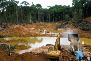 El Impacto Ambiental en Venezuela: Desafíos y Perspectivas para la Conservación