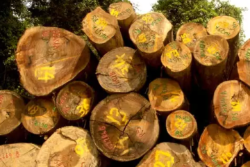 Construyendo un Futuro Sostenible: Materiales Ecológicos y Reciclados en la Industria de la Construcción 