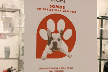 Tiendas Traki Pet Friendly: Guía para Identificarlas y Disfrutar con tus Mascotas 