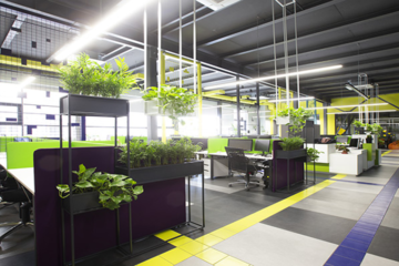 Arquitectura y bienestar: Diseño para la salud y el bienestar en los espacios construidos 