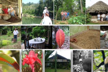 Experiencias de Turismo Rural Auténtico: Descubre la Belleza de la Naturaleza y las Tradiciones Locales 