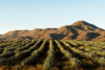  Descubriendo la Belleza de los Destinos Rurales: Planificación de Rutas y Actividades para una Experiencia Inolvidable