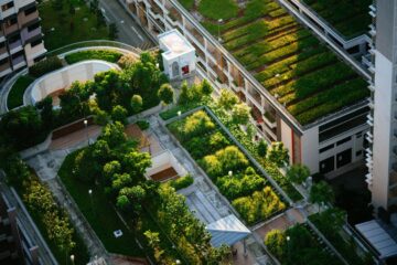Planificación Urbana: Diseñando Ciudades para un Futuro Sostenible 